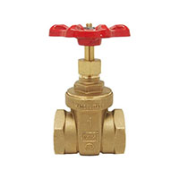 RedWhiteValve Gate Valve 206AB