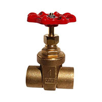 RedWhiteValve Gate Valve 207AB