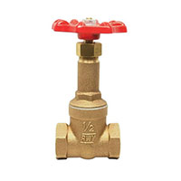 RedWhiteValve Gate Valve 208B