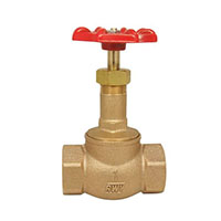 RedWhiteValve Globe Valve 211B