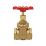 RedWhiteValve Gate Valve 206AB